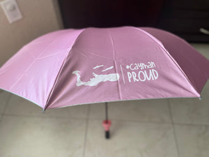 Folding Umbrella