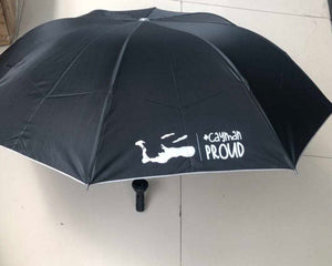 Folding Umbrella